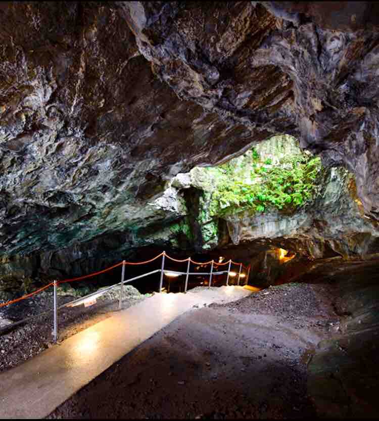 A dimly lit cave passage features a smooth pathway bordered by safety railings. Organic rock formations are visible, reflecting natural textures, while light filters in from an opening above, revealing patches of greenery. The ground is uneven, showcasing a rugged terrain.