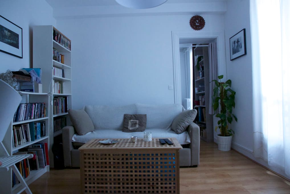 Living room with convertible couch