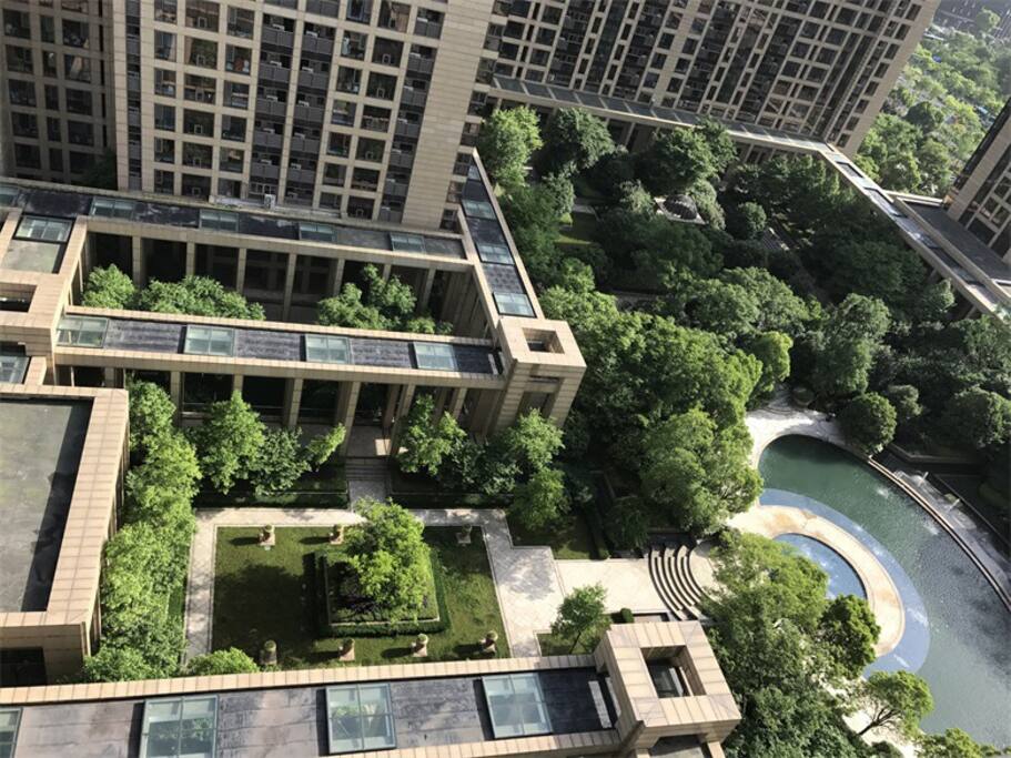 View from the window 阳台俯瞰