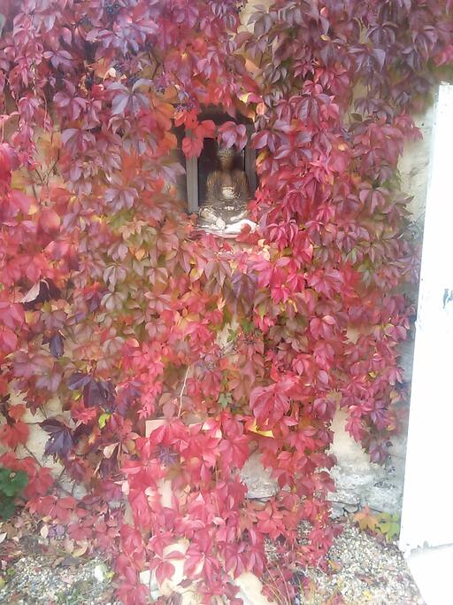 Clin d'oeil.