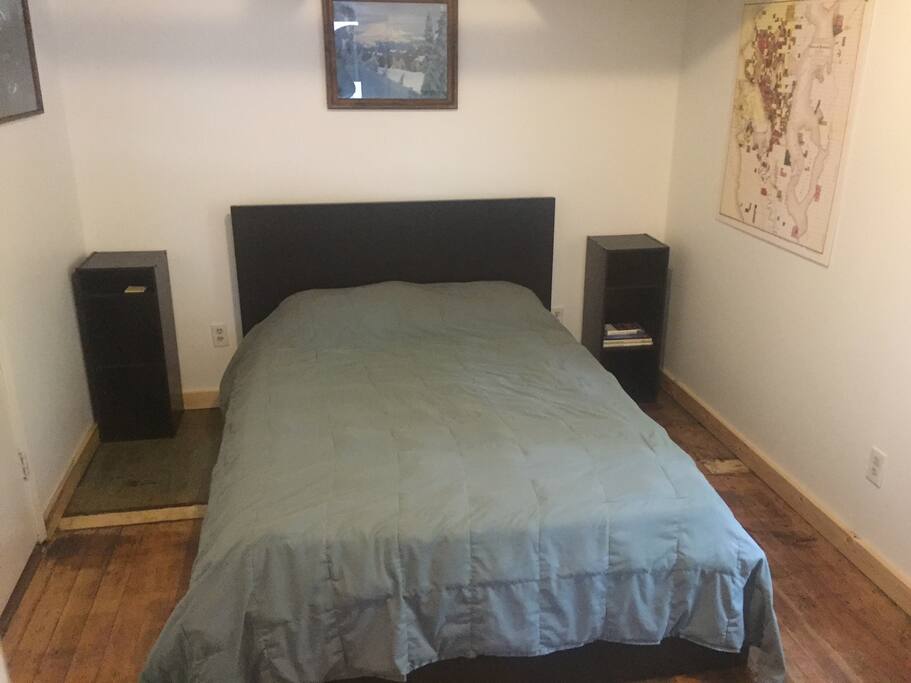 Downstairs bedroom
