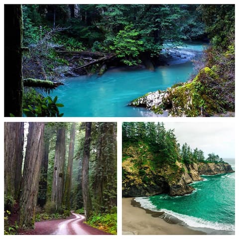 Sea Breeze Artist Bungalow:Redwoods,Rivers,Beaches