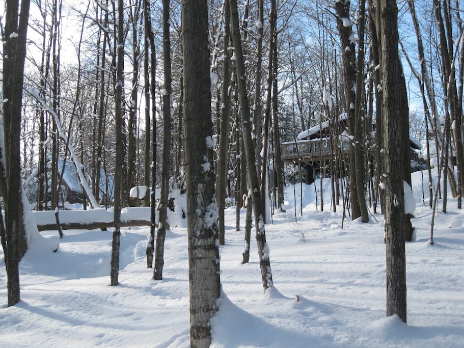 SNOW SHOE BACKYARD