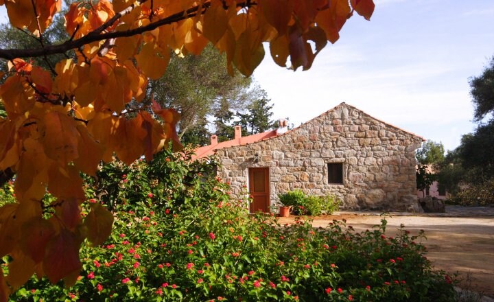A charming stone house is nestled amidst lush greenery and vibrant flowers, with warm autumn leaves framing the scene. The structure features a rustic exterior and a welcoming entrance, surrounded by nature's beauty, creating a serene and peaceful atmosphere for relaxation.