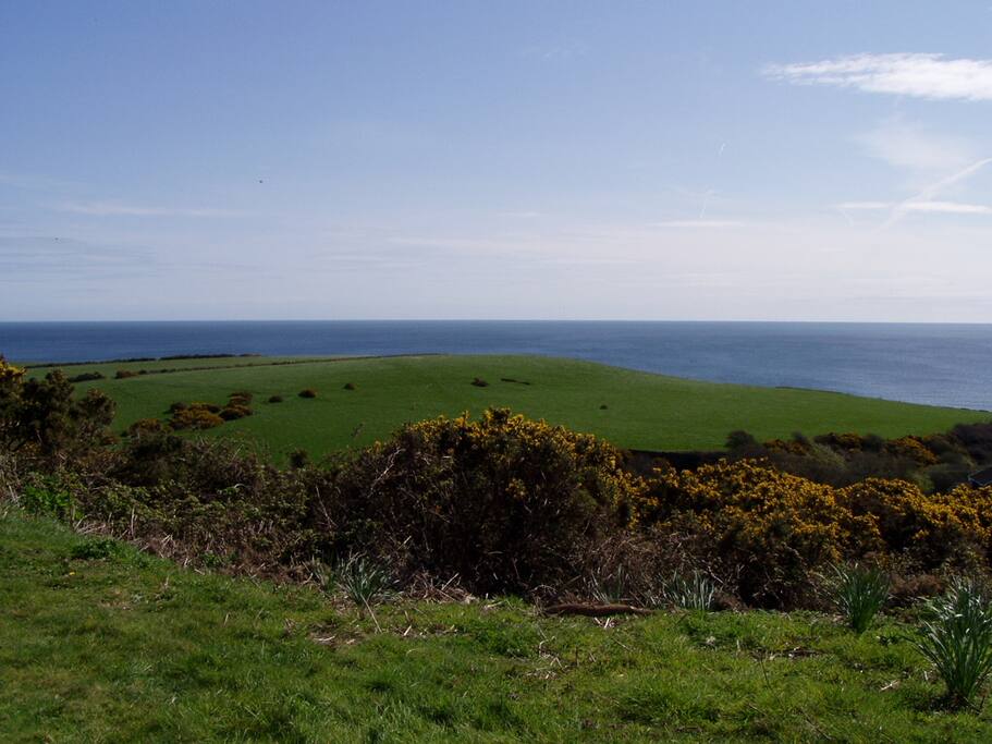 View from front of house