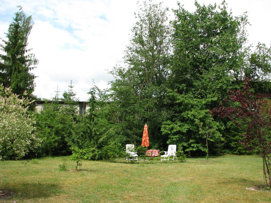 Garten mit Sonnenliegen