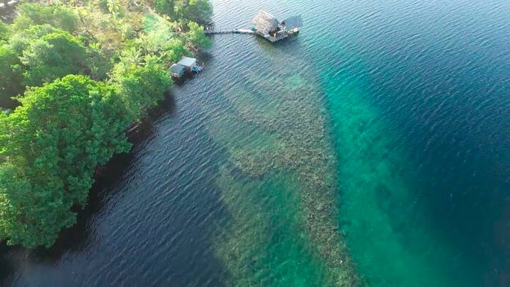 Magical Reef Diving Board Room - Huts for Rent in Bocas del Toro ...