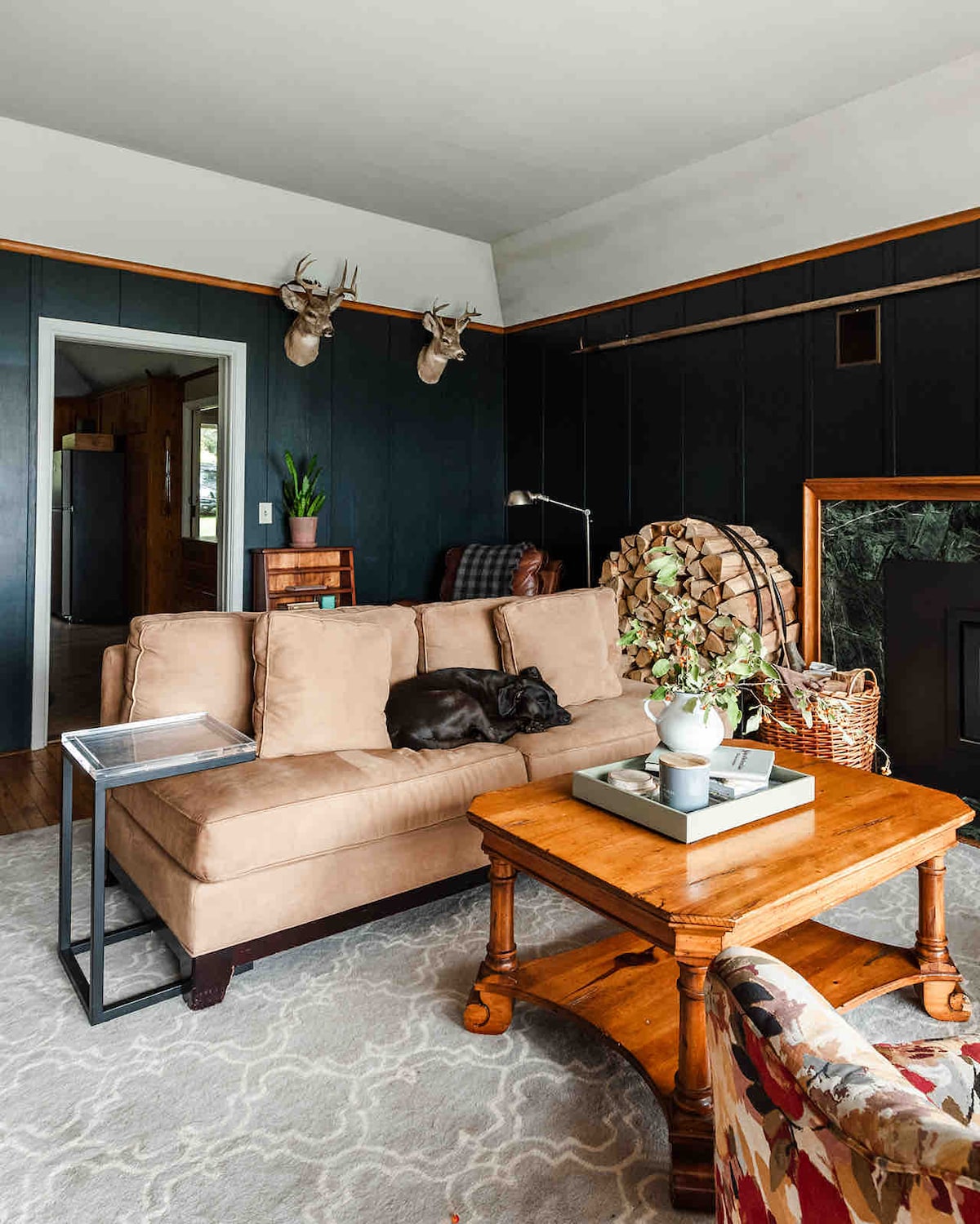 A cozy living room features a soft brown sectional sofa with a black dog lounging on it. A wooden coffee table holds a decorative tray and plant, while a patterned area rug adds warmth. Dark-paneled walls add depth, accented by mounted deer heads and a basket of firewood.
