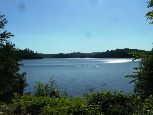 Lake House
