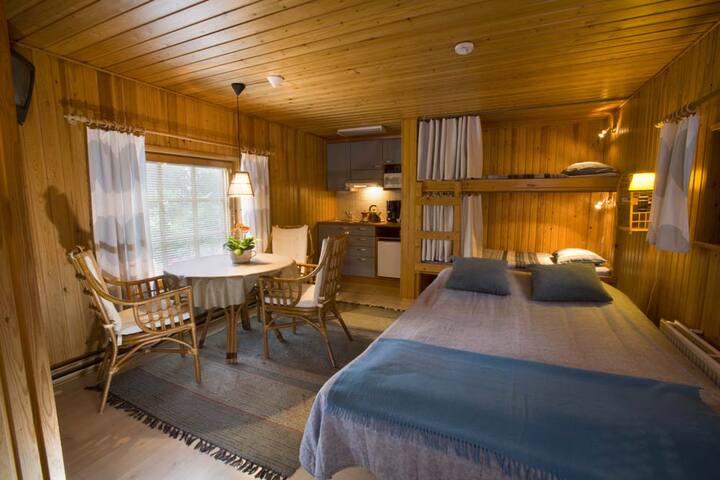 Arctic Home in Santa's city