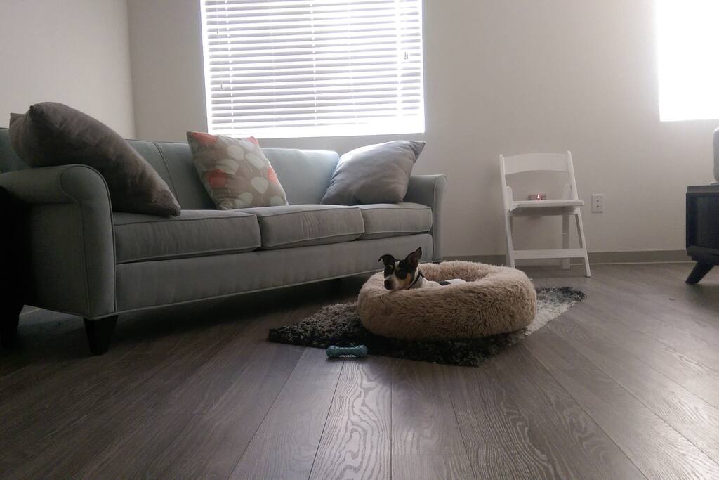 Lounging area with plenty of room to spare.