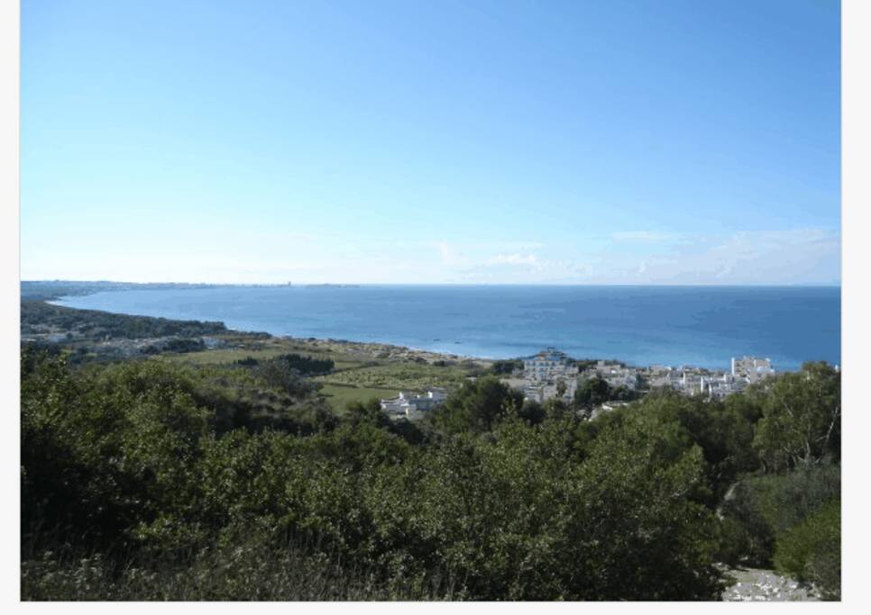 LIDO CONCHIGLIE - GALLIPOLI