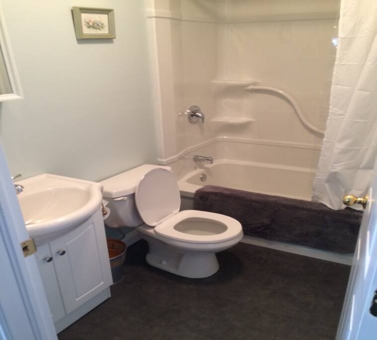 Renovated washroom in 2016. Bath, shower, toilet, sink and mirror