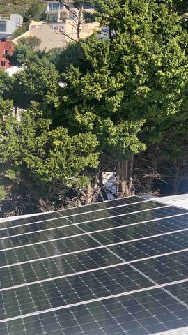 Peaceful, serene retreat, William French Villa gallery image 4