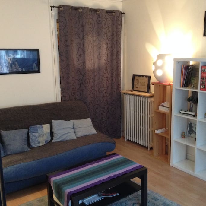 Séjour / Chambre avec le canapé-lit