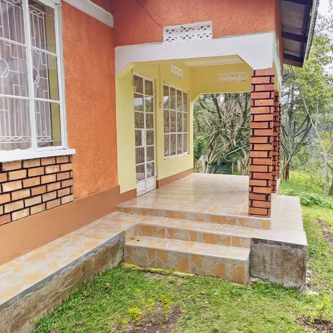 A welcoming porch area features a tiled floor and steps leading up to an entryway. The exterior walls are painted in warm orange and soft yellow shades, framed by white accents. Lush greenery can be seen in the background, enhancing the connection to nature.