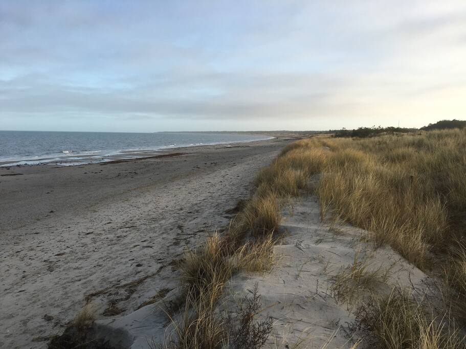 Børnevenlig strand i gå-afstand.