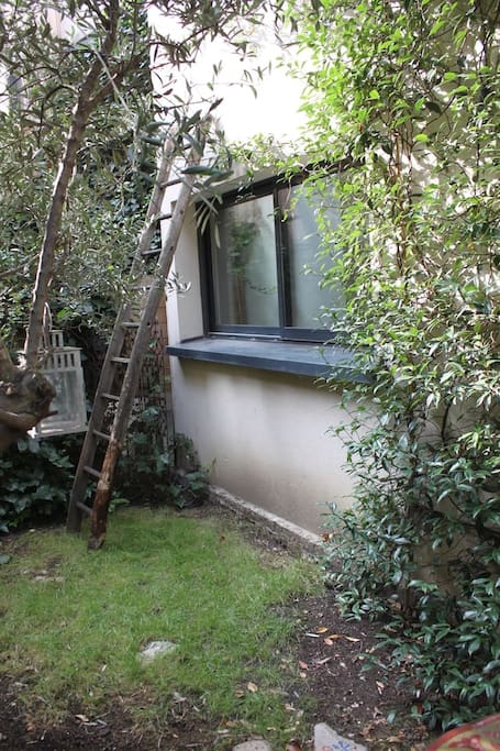 Jardin en hiver!