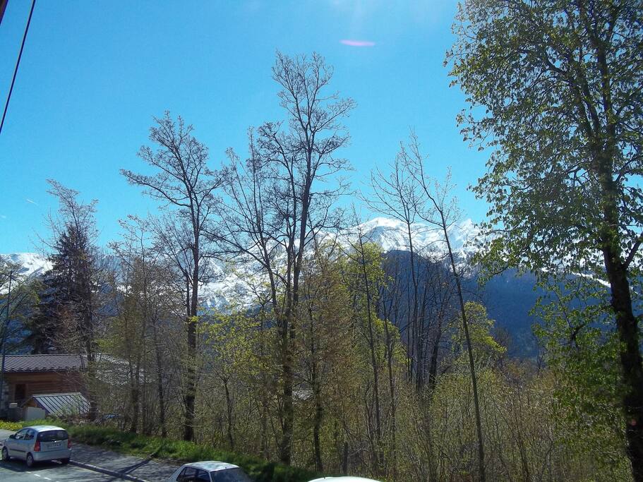 Vue sur la chaine du Mont-Blanc.