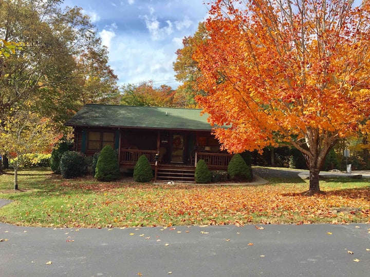 Cuddly Bear cabin. Maggie Valley, NC Cabins for Rent in Maggie Valley