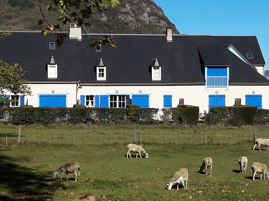maison de gauche RDC+2 étages