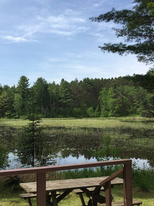Spider Creek