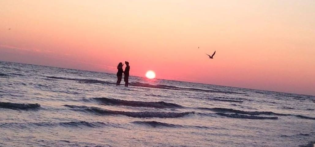 Vista de Ensueño sobre la Playa de Siesta Key