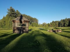 Treehouse+on+private%2C+isolated+forest+%28300+acres%29