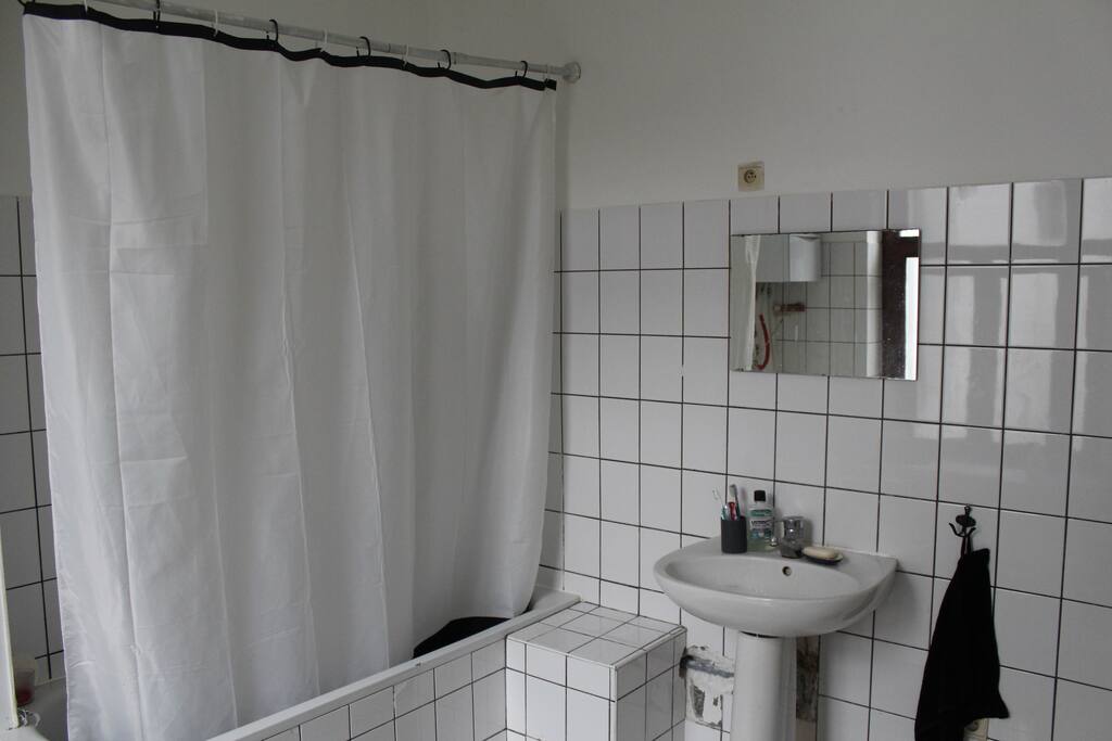 Salle de bain avec une baignoire, un évier et les toilettes. Vous pourrez utiliser mes shampoings, après-shampoing et savon si vous n'avez pas les votres, je mets aussi des serviettes de bain à disposition.