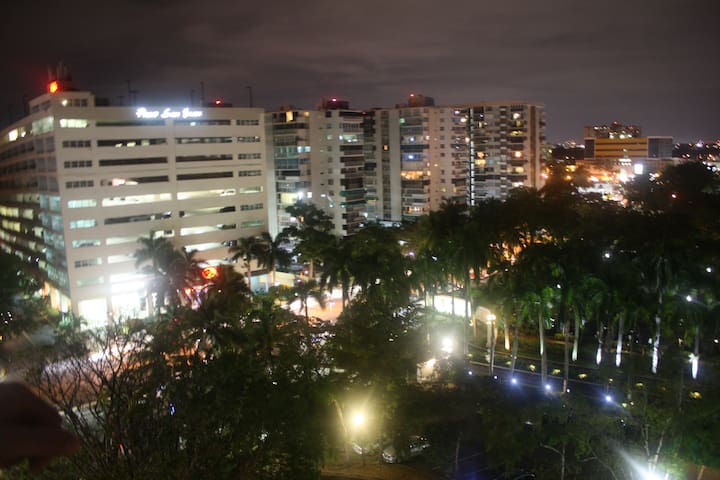 Beautiful ocean view San Juan IV-