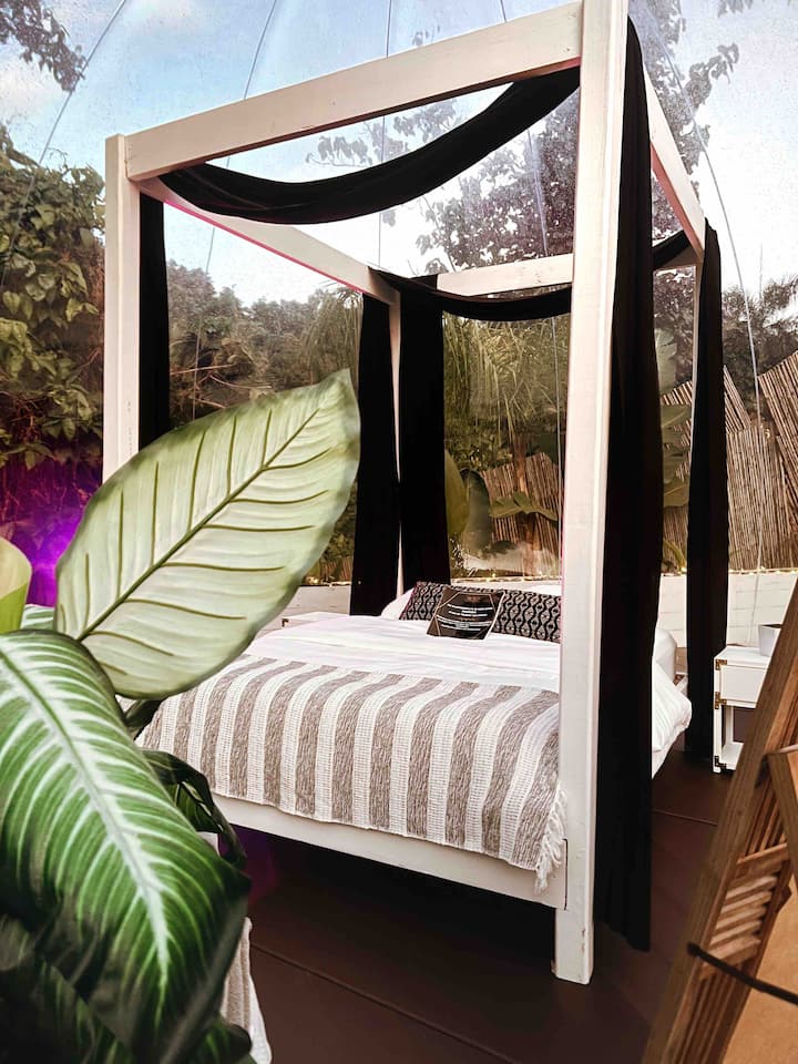 Bubble Puerto Rico Dome houses for Rent in Ponce, Ponce, Puerto Rico