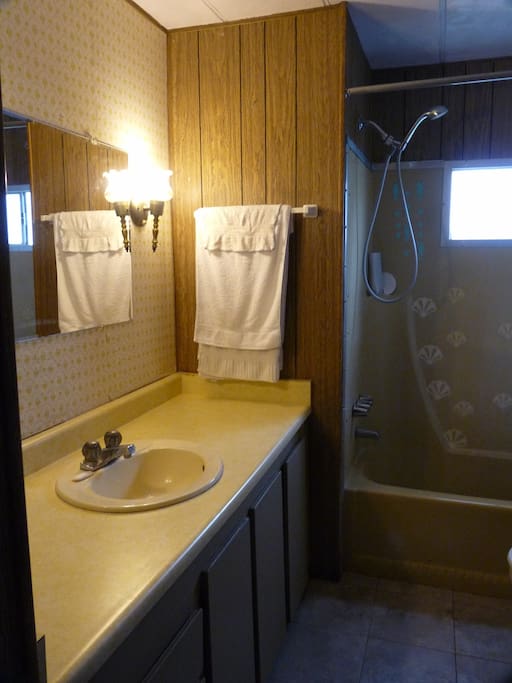 Lots Of Room For Your Bathroom Things In Shared Bath