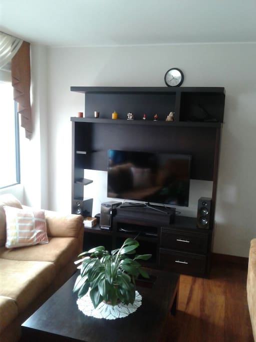 TV