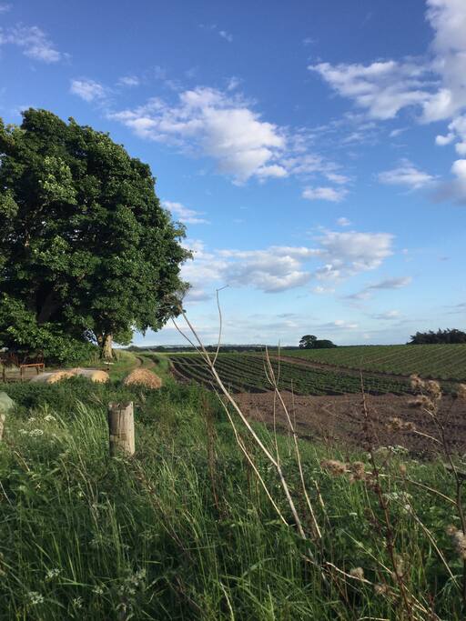 For those who enjoy wildlife, an abundance of birds, butterflies and plants inhabit the grounds and surrounding countryside. For would-be artists, a sketchbook and pencils are a must!