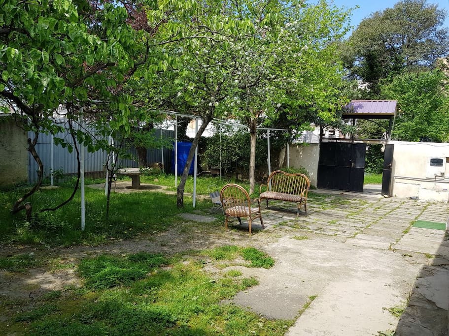 Yard 2/3