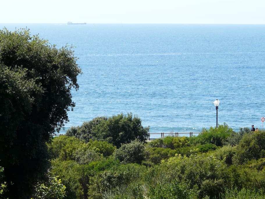 Vue depuis la véranda