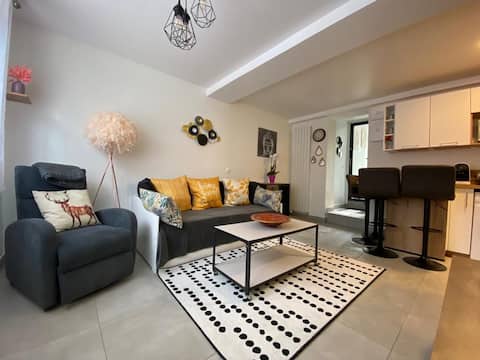 Successful Airbnb property: Cozy home between Disney and Paris in Noisy Le Grand