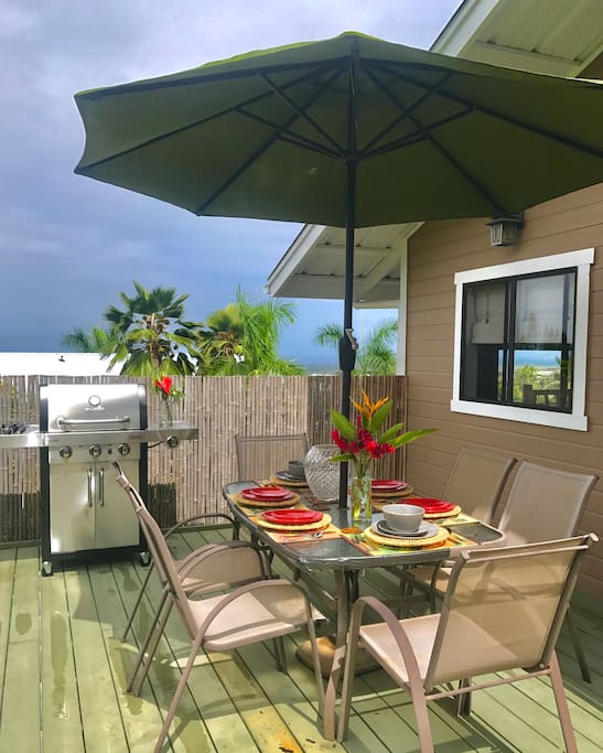 Guest will have access to BBQ and rear lanai.