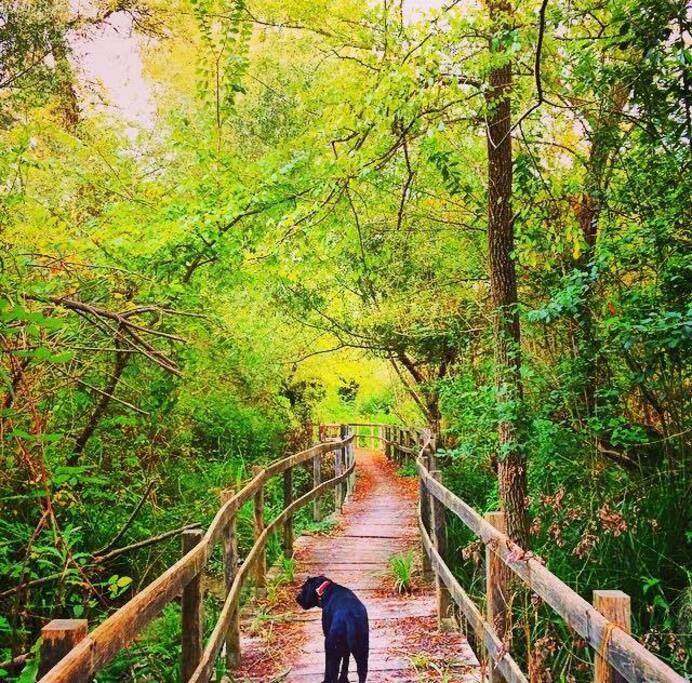 la Riserva Naturale Tevere farfa ed i suoi sentieri, dove siamo