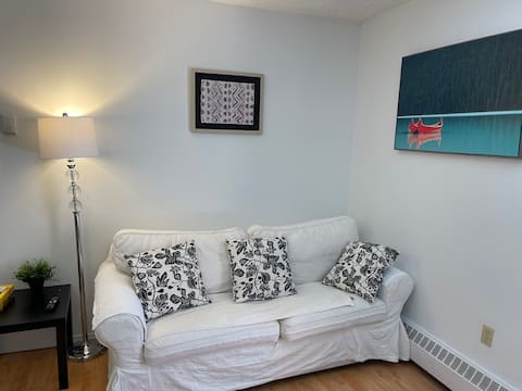 Successful Airbnb property: One Bedroom Apartment Downtown in Chinatown