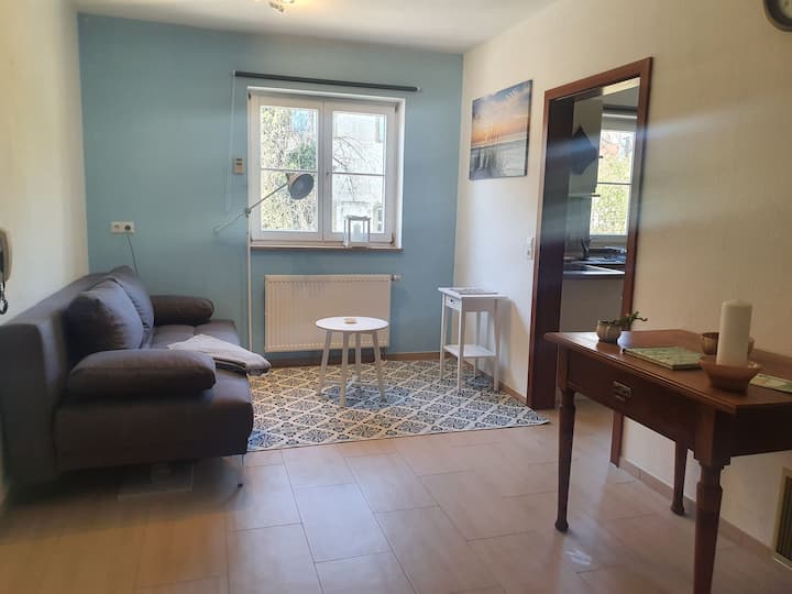 Große Wohnung Am Schloß - Bad Mergentheim