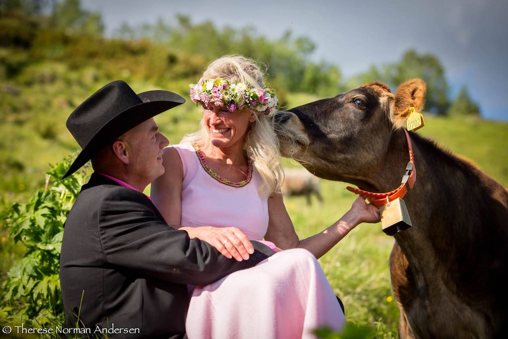 Your hosts: Inger-Marie and Arvid (and the cow Pippi). Welcome to our farm!