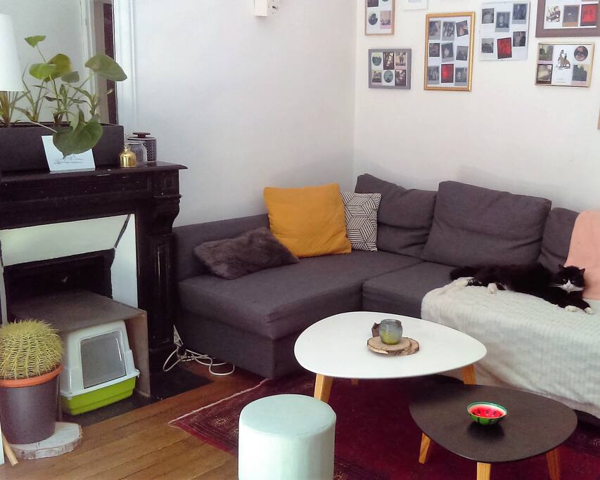 playstation 4, télé, internet... ( C'est chablis sur la phto)