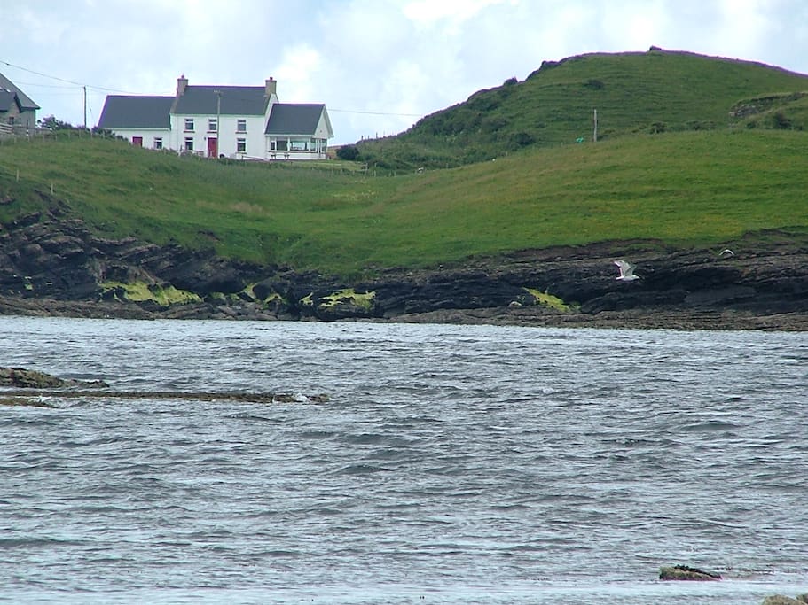 Wild Sea Views