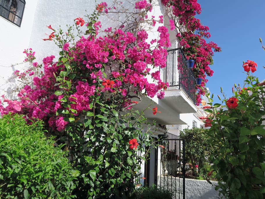 Flowers at the Pueblo Los Arcos 4 Nerja entrance