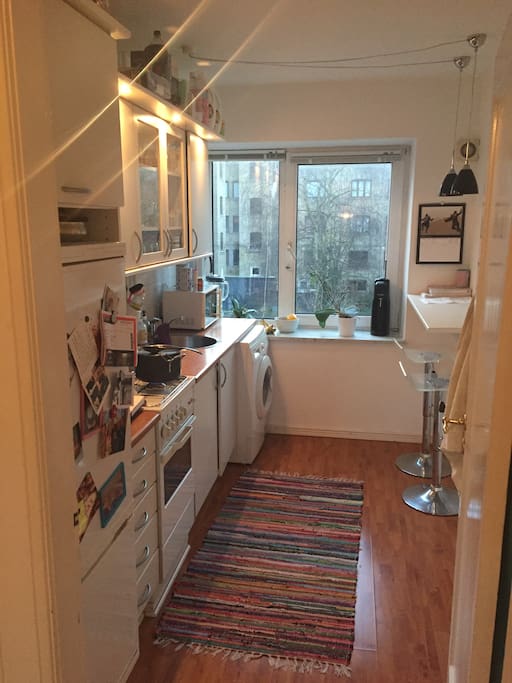 Kitchen with own, fridge and freder