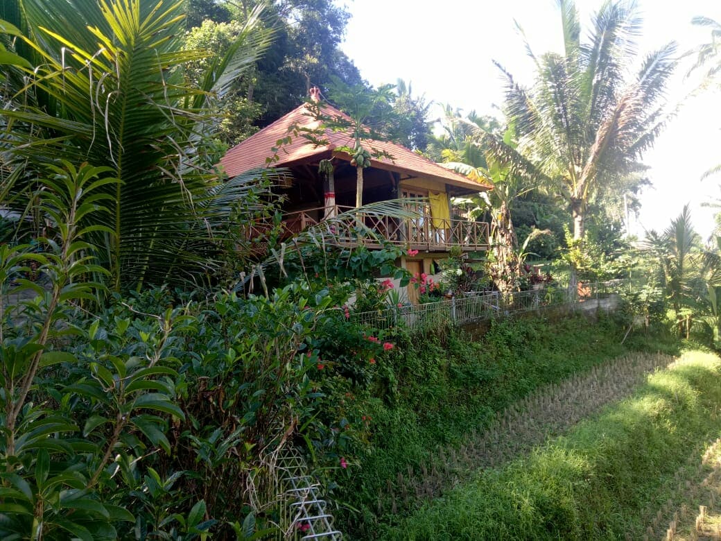 The house is positioned amid lush greenery, showcasing a traditional style with a sloped roof and spacious balcony. Surrounded by vibrant plants, it offers a scenic view of the nearby rice terraces and palm trees, providing a tranquil retreat in a natural setting.