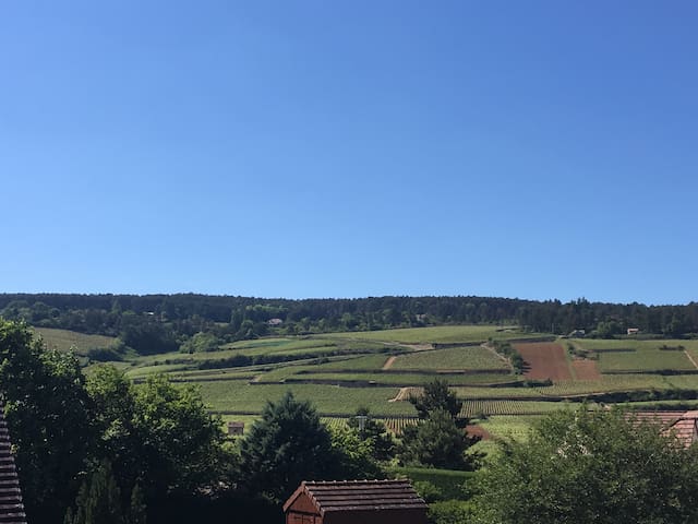 Vineyard view room with breakfast