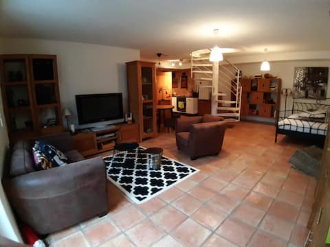 Surrounded by vineyards near Freiburg&Europapark