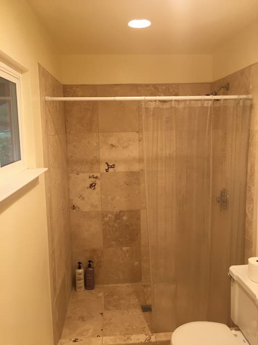 Shower master bedroom